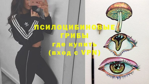 таблы Алексин