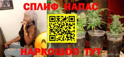 эйфоретик Кингисепп