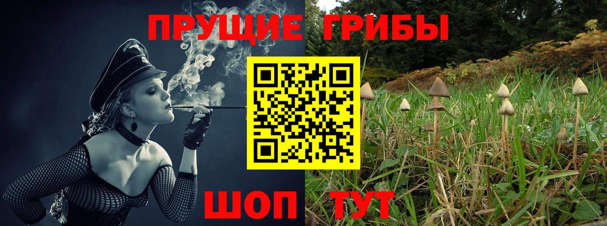 Псилоцибиновые грибы MAGIC MUSHROOMS Курчалой